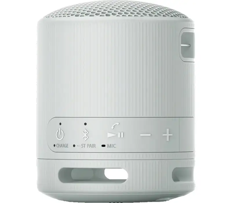 SONY SRSXB100H.CE7