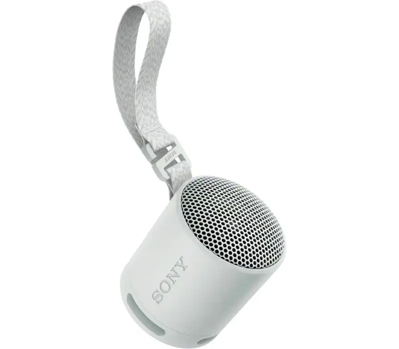 SONY SRSXB100H.CE7