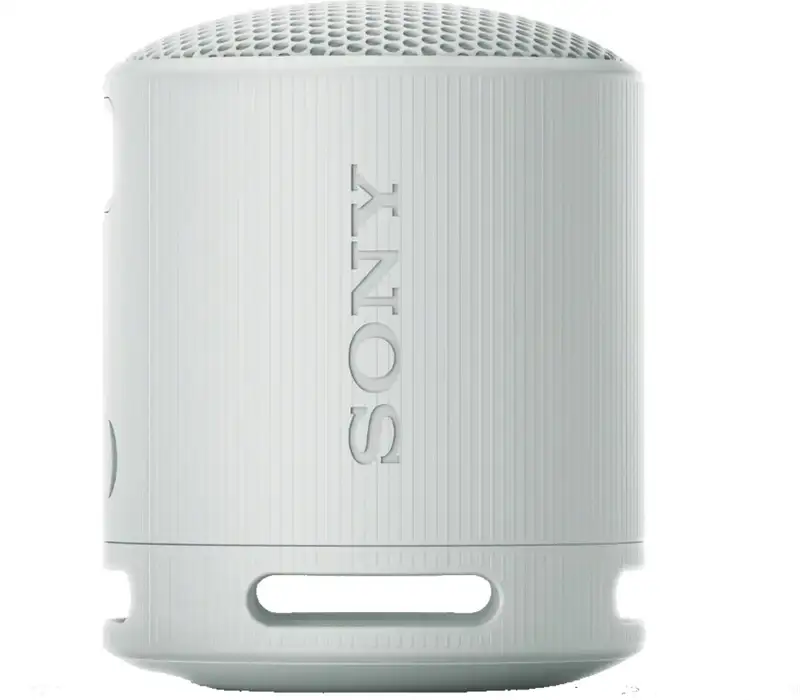 SONY SRSXB100H.CE7