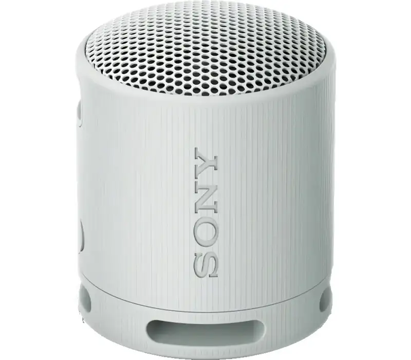 SONY SRSXB100H.CE7