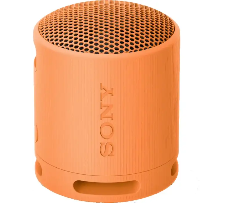 SONY SRSXB100D.CE7