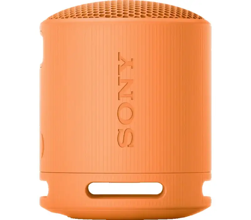 SONY SRSXB100D.CE7