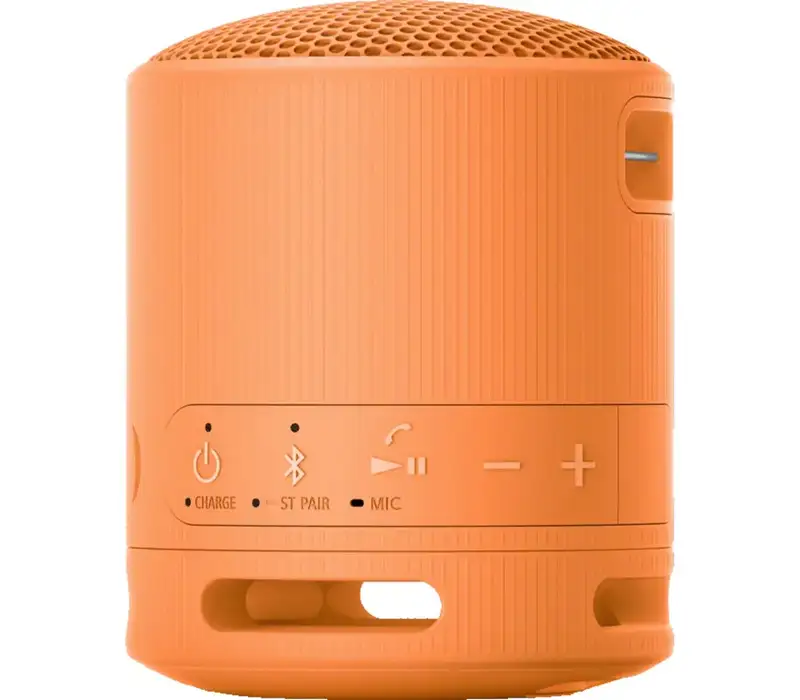 SONY SRSXB100D.CE7