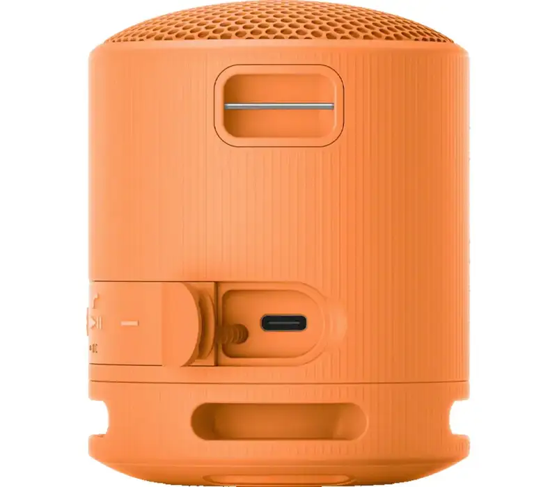 SONY SRSXB100D.CE7