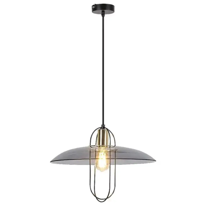 RABALUX Vida, vilica E27, crna metal/dimljeno staklo