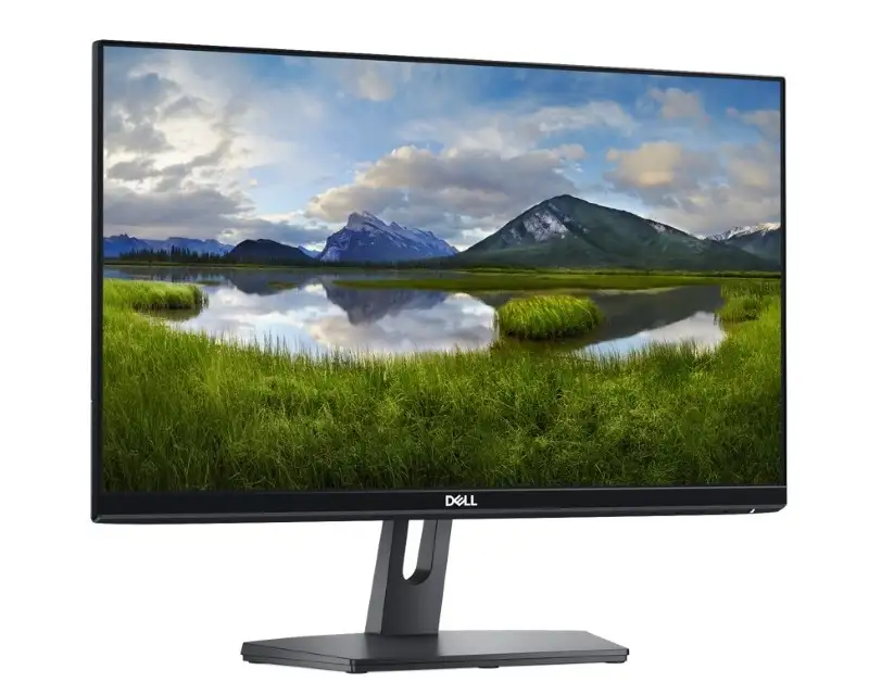 DELL SE2219H