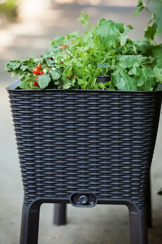 KETER Easy grow 120L grafit
