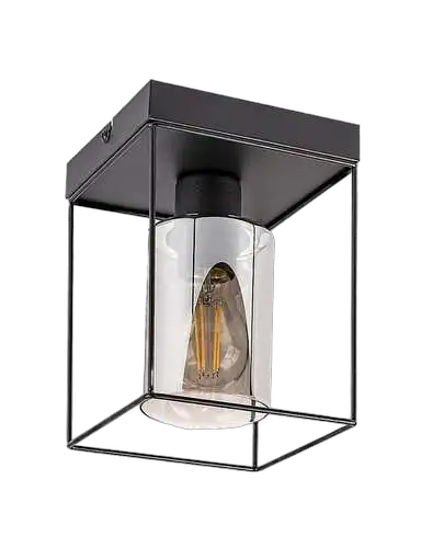 RABALUX Cedvik, crna metalna plafonska lampa , E27 1x25W, IP20
