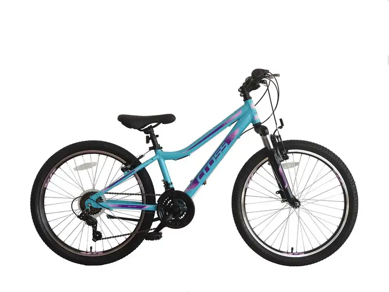 24 CROSS DAISY 2022 / Blue