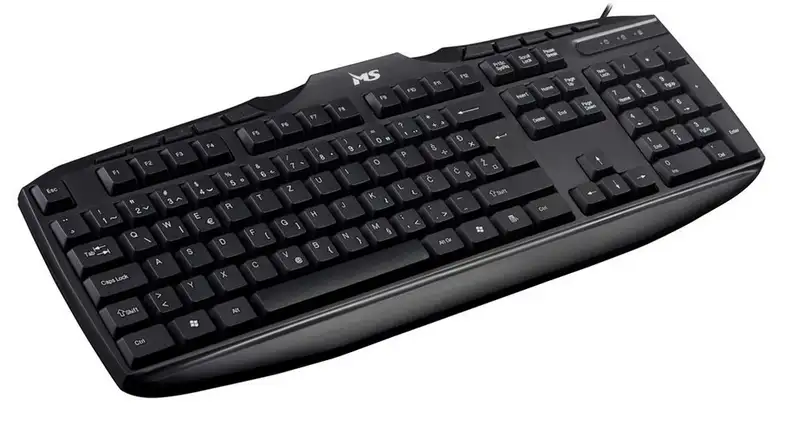 MS INDUSTRIAL MASTER C100
