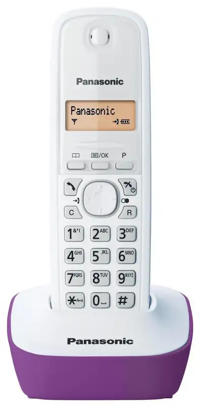 PANASONIC KX-TG1611FXF