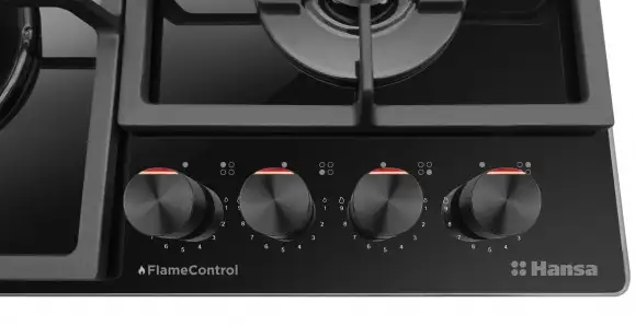 HANSA FCGS69326 ug. set