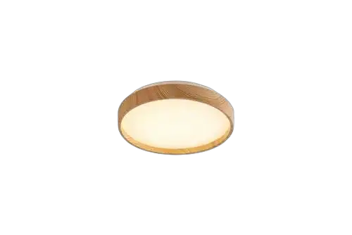 RABALUX Leana2, LED plafonejra 12W, 3000K, 26cm, zvezdani efekat, IP20