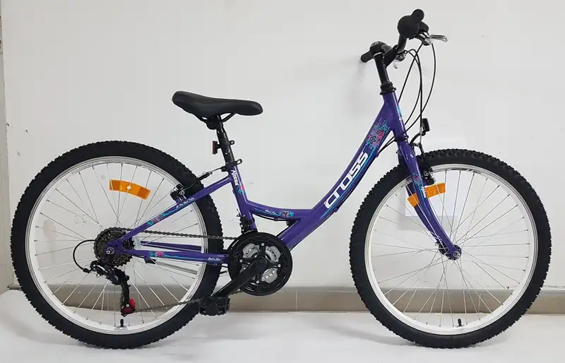 24 CROSS ALISSA  Purple 2022