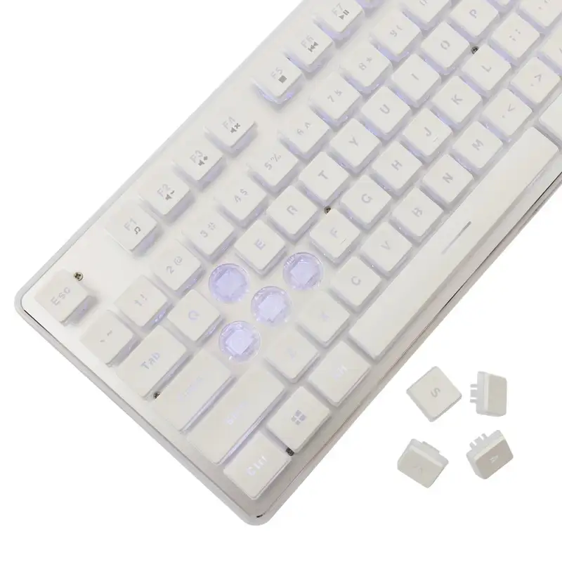 WHITE SHARK WS GK 003241 US TACHI White