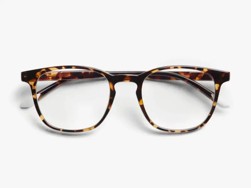 BARNER Dalston Glossy Tortoise