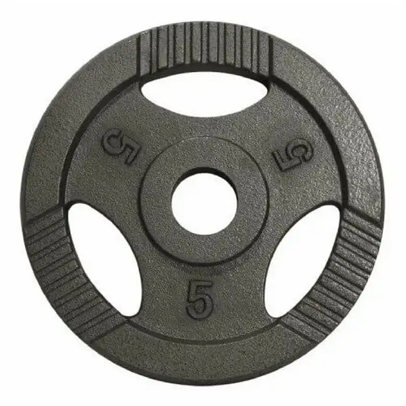 GORILLA SPORTS Teg od livenog gvozdja 5 kg (50 mm u sivoj boji)