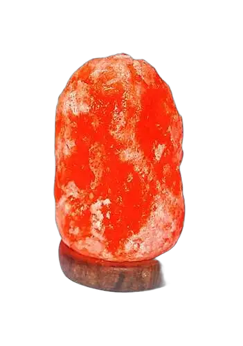 ArtikalKorpa