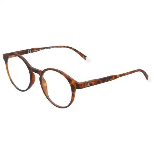 BARNER Le Marais Tortoise