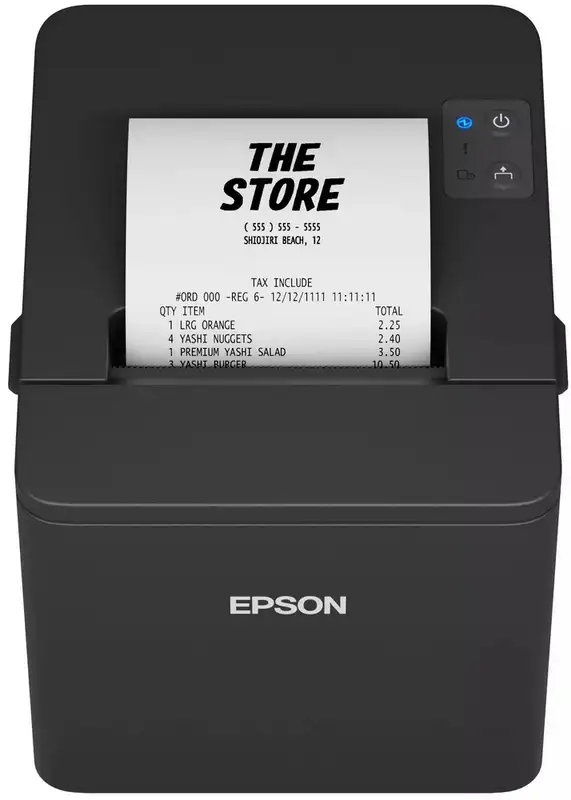 EPSON TM-T20IV-101