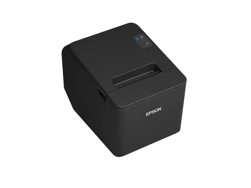 EPSON TM-T20IV-101