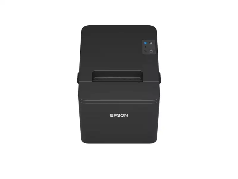 EPSON TM-T20IV-101
