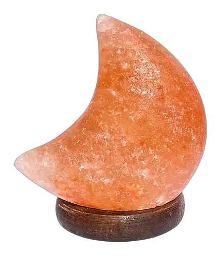 ArtikalKorpa