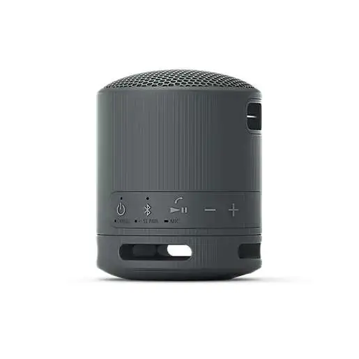 SONY SRSXB100B.CE7 crna
