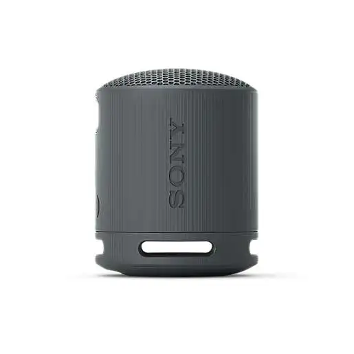 SONY SRSXB100B.CE7 crna