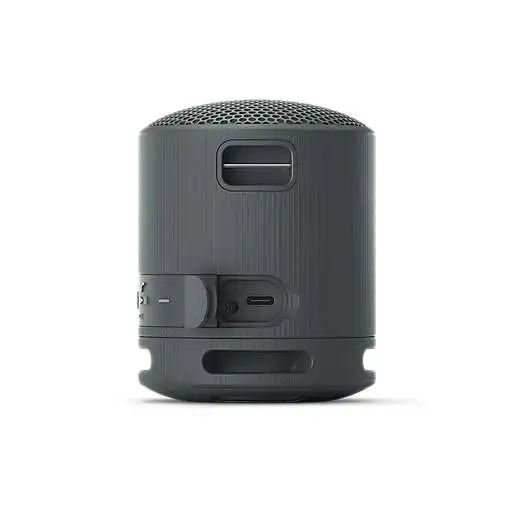 SONY SRSXB100B.CE7 crna