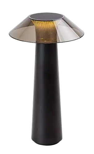RABALUX Assen, LED spoljna stona punjiva lampa, metal crna, 5W, 40lm (bez dif. 150lm), 3000K