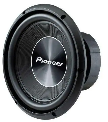 PIONEER TS-A250D4 25cm