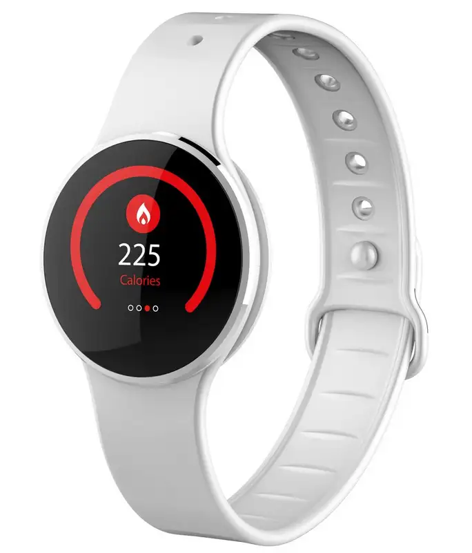 MYKRONOZ ZECIRCLE 2 SILVER/WHITE