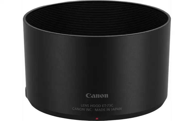 CANON RF 100mm 2.8 L Macro IS USM