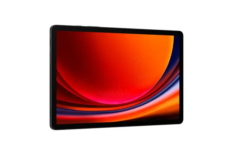 SAMSUNG Galaxy Tab S9 WiFi 12GB/256GB Gray SM-X710NZAEEUC
