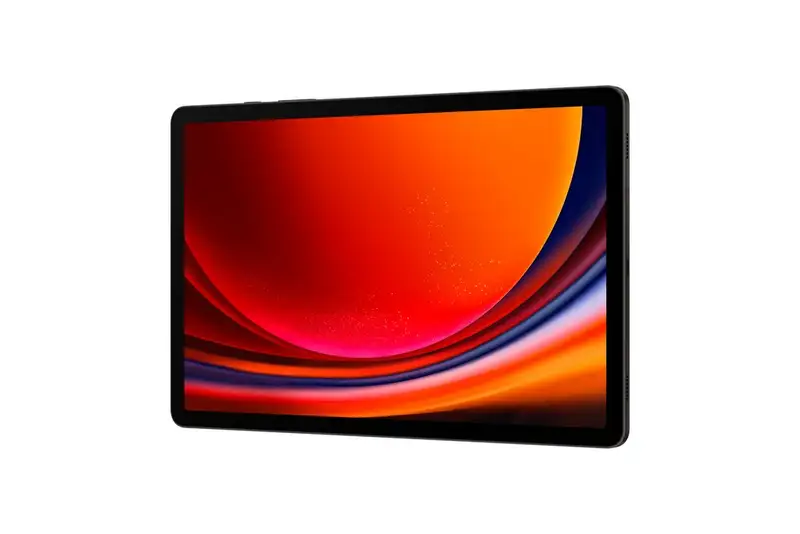 SAMSUNG Galaxy Tab S9 WiFi 12GB/256GB Gray SM-X710NZAEEUC