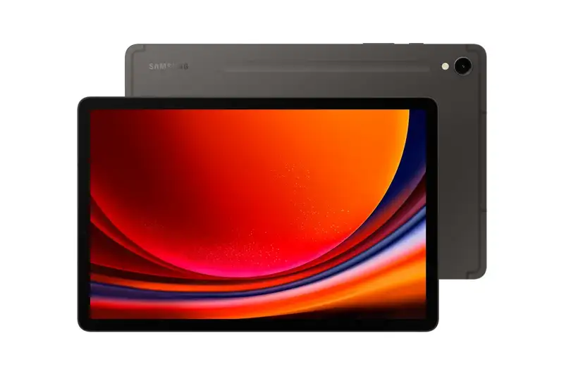 SAMSUNG Galaxy Tab S9 WiFi 12GB / 256GB Gray SM-X710NZAEEUC