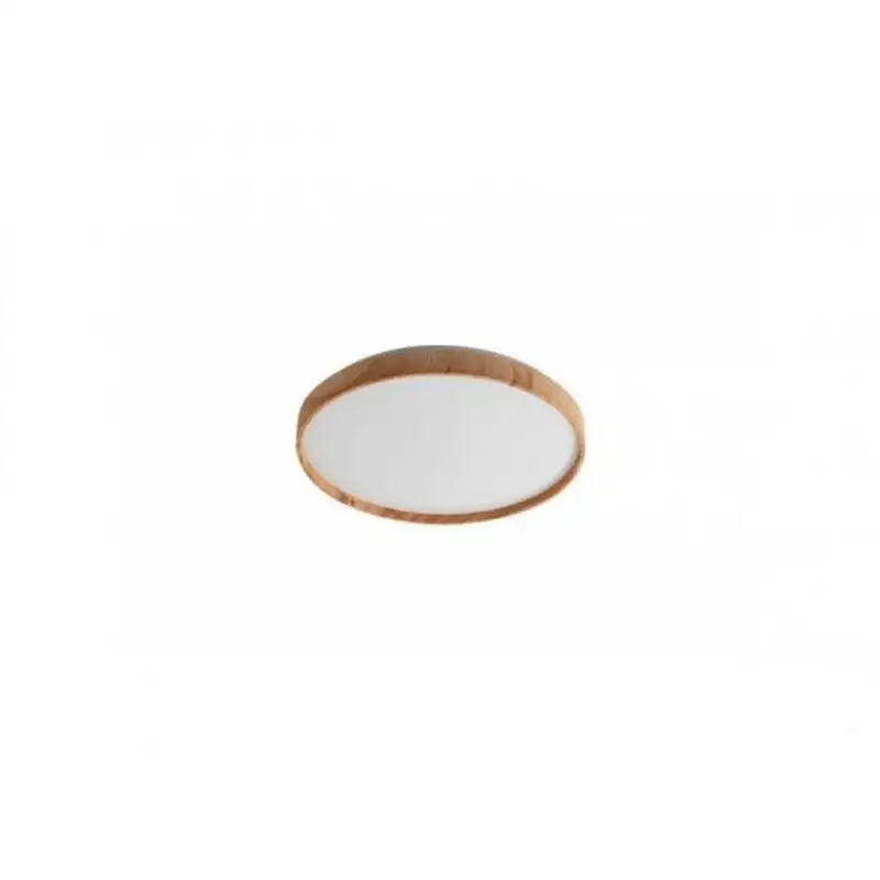 RABALUX Leana2 plafonjera LED24W D38 5cm