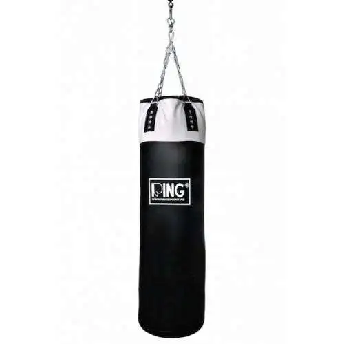 RING RS DZ120BW