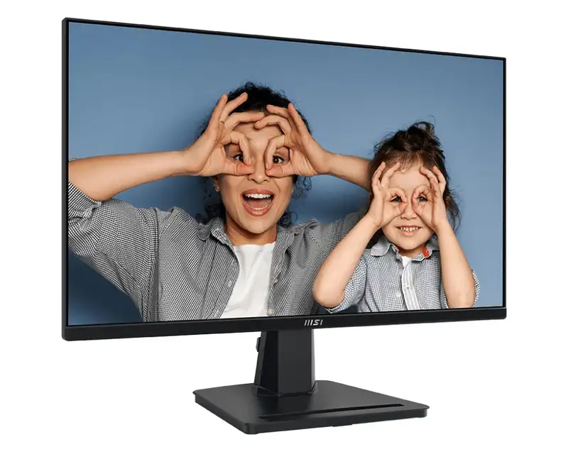 MSI PRO MP251