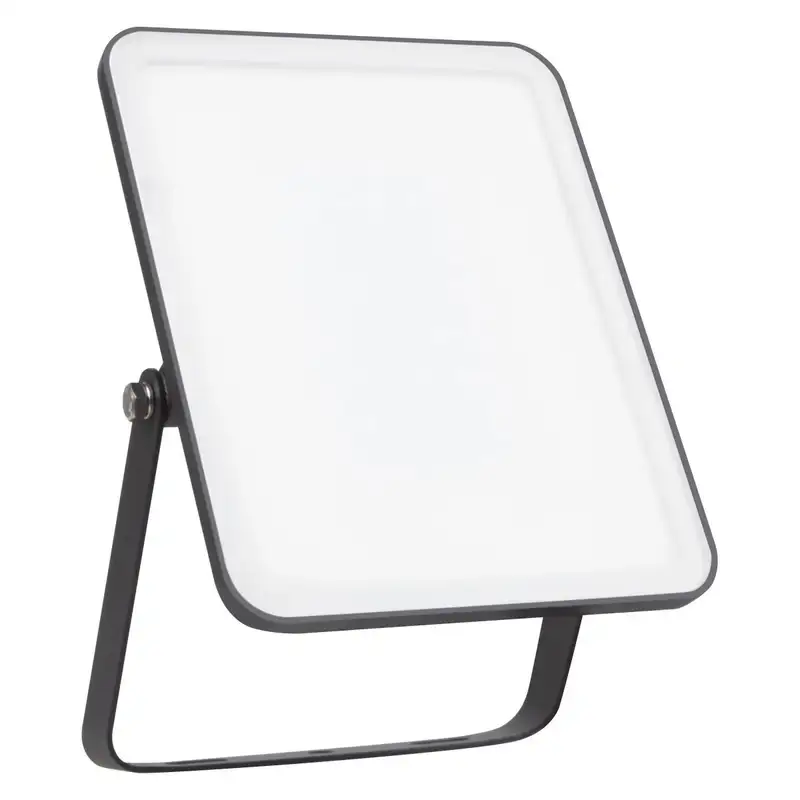 LEDVANCE Reflektor  Essential 30W 6500K crni