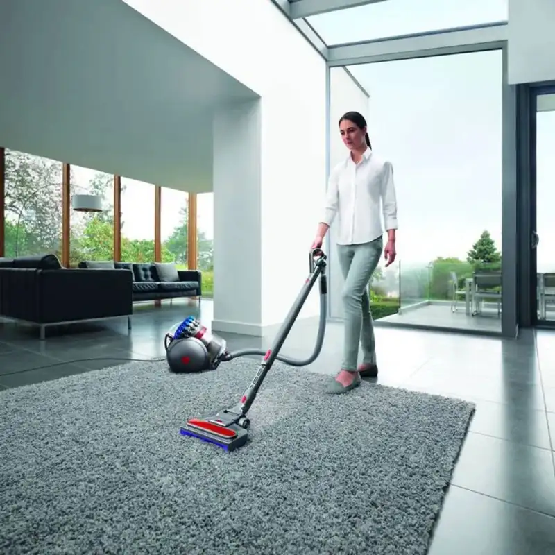 DYSON Big Ball Absolute 2