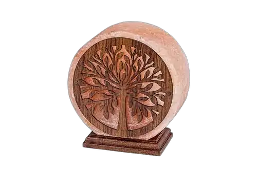 ArtikalKorpa