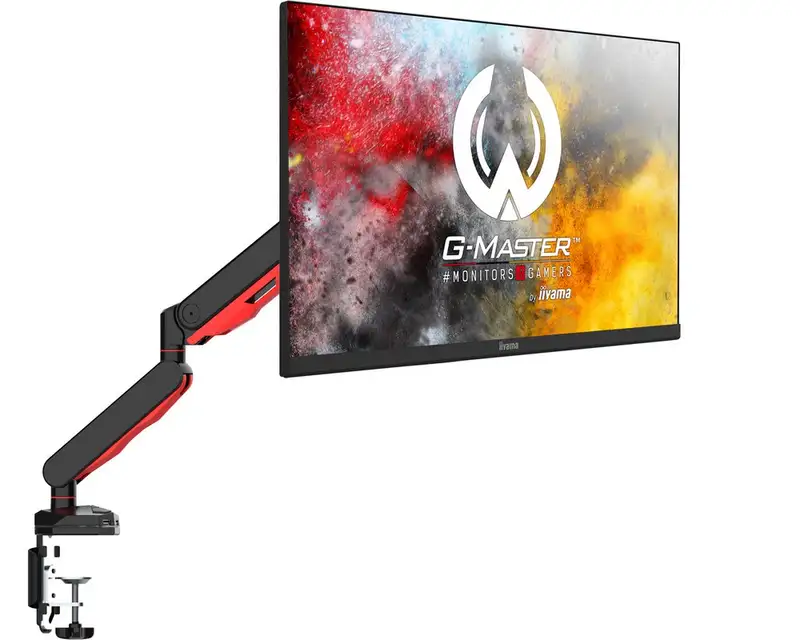 IIYAMA DSG3001C-R1