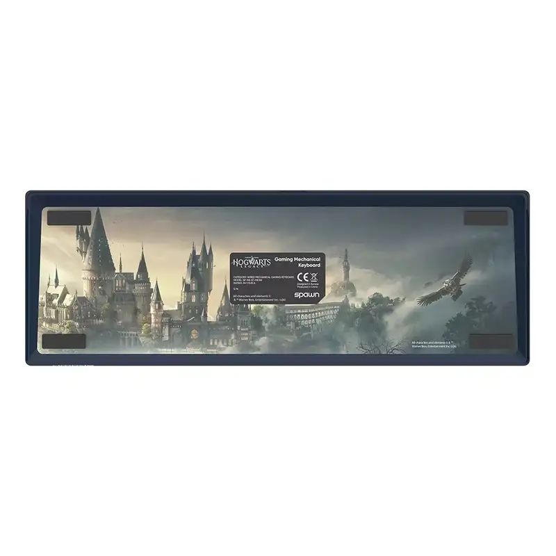 SPAWN WB Hogwards Legacy